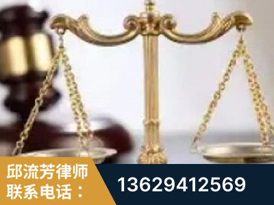 清镇-委托诉讼代理人出庭